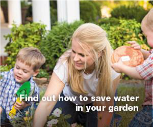 How to save water in your garden tile