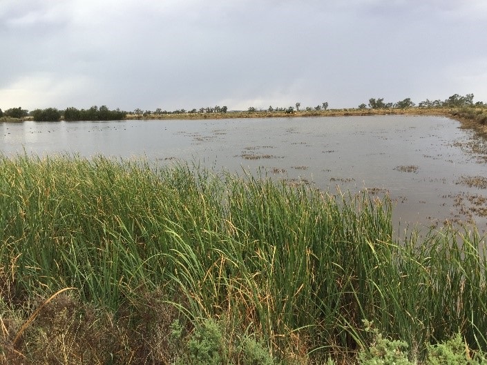 Lake Cargelligo Sewerage Scheme