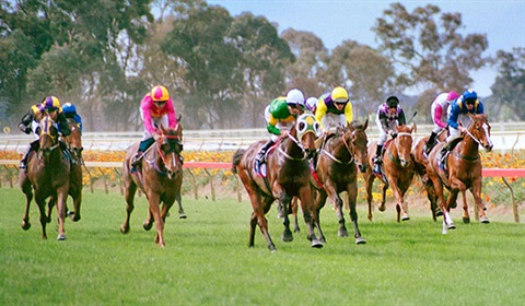 Generic-Horse-Racing-2.jpg