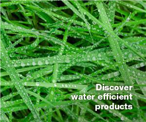 Discover energy efficient products tile