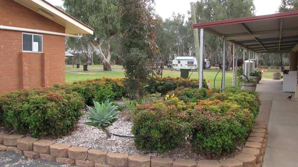 Riverview-Caravan-Park-Condobolin2.jpg